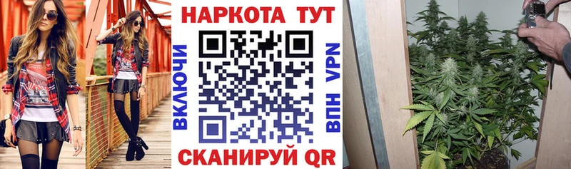 Как найти закладки Александровск APVP  Cocaine  Мефедрон  Гашиш 
