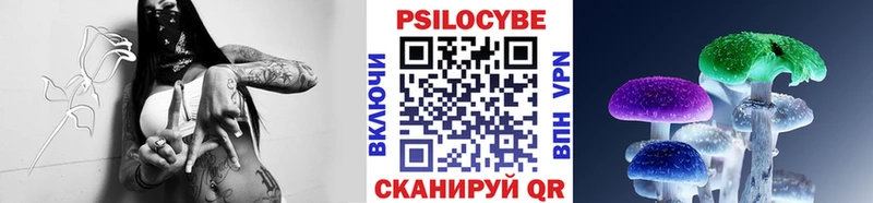 darknet телеграм  что такое наркотик  Александровск  Галлюциногенные грибы Psilocybe 